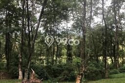 Tanah Strategis Dijual di Babakan Madang Bogor 1543m2 Tanah Strategis Dijual di Babakan Madang Bogor 1543m2