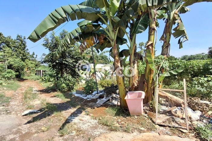 Tanah Kavling Dijual di Bogor dengan Spesifikasi 1000m2 Tanah Kavling Dijual di Bogor dengan Spesifikasi 1000m2