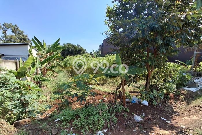 Tanah Kavling Dijual di Bogor dengan Spesifikasi 1000m2 Tanah Kavling Dijual di Bogor dengan Spesifikasi 1000m2
