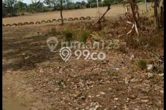 Dijual Tanah di Sepatan Tangerang Luas 80000m2 SHM Dijual Tanah di Sepatan Tangerang Luas 80000m2 SHM