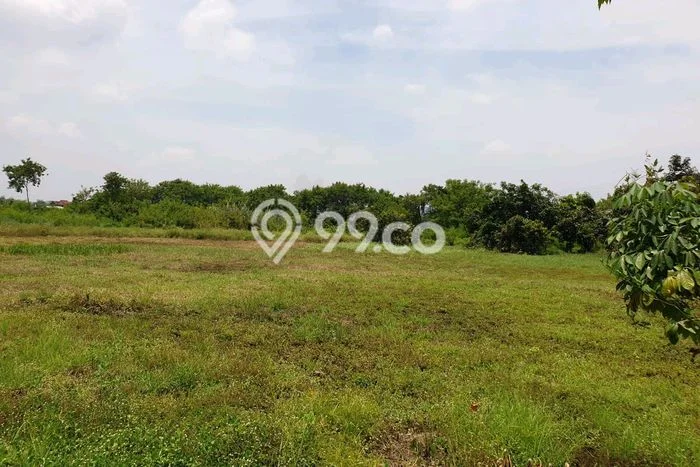 Tanah Kosong Disewakan di Beji, Pasuruan, Luas 10000m2 Tanah Kosong Disewakan di Beji, Pasuruan, Luas 10000m2