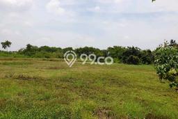 Tanah Kosong Disewakan di Beji, Pasuruan, Luas 10000m2 Tanah Kosong Disewakan di Beji, Pasuruan, Luas 10000m2