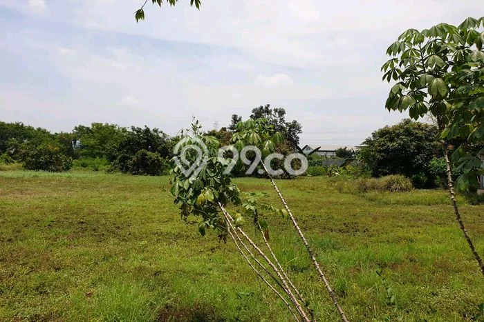 Tanah Kosong Disewakan di Beji, Pasuruan, Luas 10000m2 Tanah Kosong Disewakan di Beji, Pasuruan, Luas 10000m2