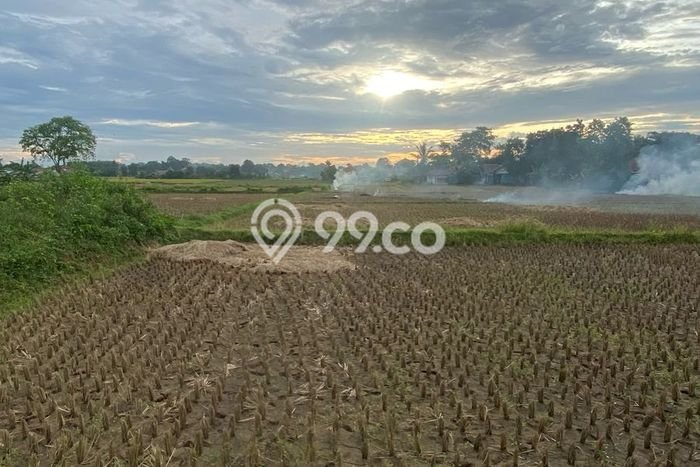 Tanah Kavling di Tangerang Dijual dengan Luas 935m2 Tanah Kavling di Tangerang Dijual dengan Luas 935m2