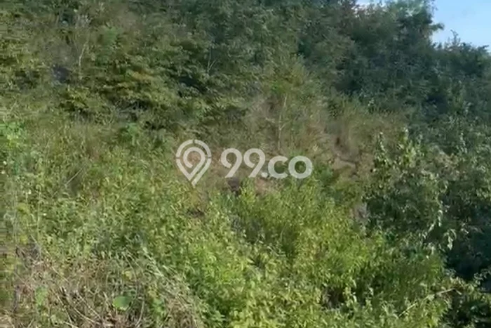 Dijual Tanah Lokasi Selong Belanak, Lombok Barat Seluas 10000m2 Dijual Tanah Lokasi Selong Belanak, Lombok Barat Seluas 10000m2
