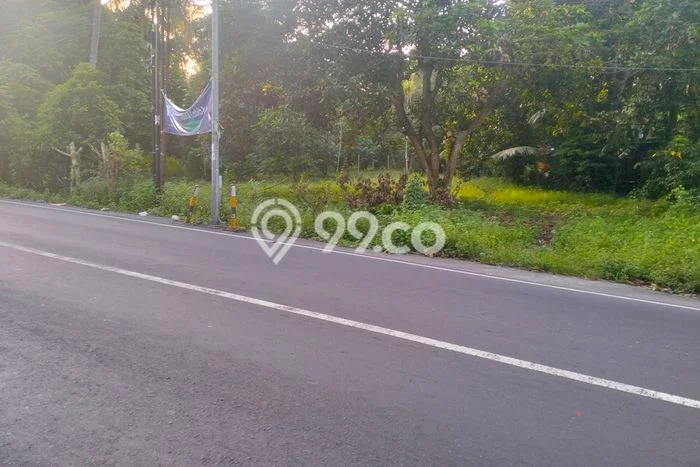 Kavling Tanah Dijual di Labu Api Lombok Barat Spesifikasi 4800m2 Kavling Tanah Dijual di Labu Api Lombok Barat Spesifikasi 4800m2