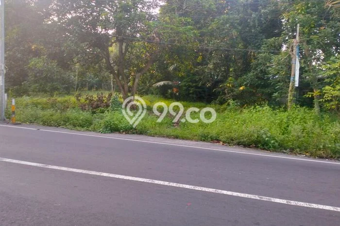 Kavling Tanah Dijual di Labu Api Lombok Barat Spesifikasi 4800m2 Kavling Tanah Dijual di Labu Api Lombok Barat Spesifikasi 4800m2