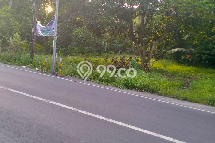 Kavling Tanah Dijual di Labu Api Lombok Barat Spesifikasi 4800m2 Kavling Tanah Dijual di Labu Api Lombok Barat Spesifikasi 4800m2