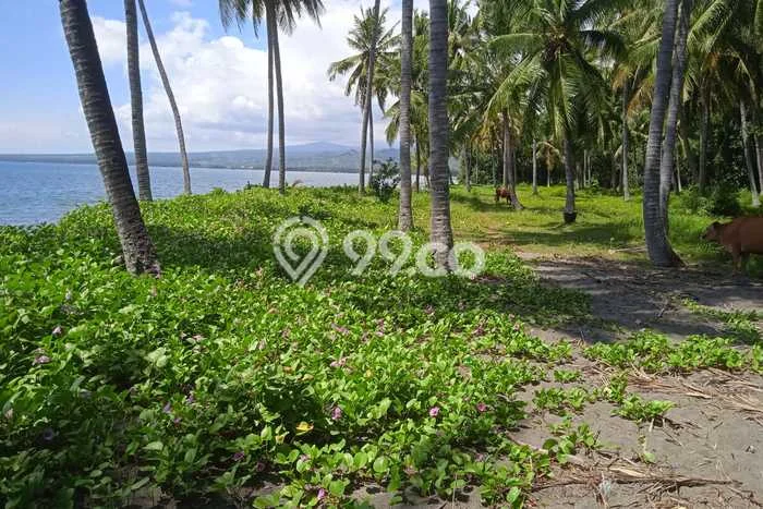 Tanah Dijual Area Strategis di Lombok Badung 9000m2 Tanah Dijual Area Strategis di Lombok Badung 9000m2