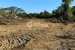 Tanah Dijual Lokasi Wotu Luwu Timur SHM Tanah Dijual Lokasi Wotu Luwu Timur SHM