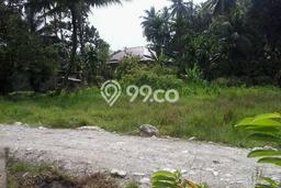 Tanah untuk Dijual di Batang Anai Padang Pariaman Luas 1000m2 Tanah untuk Dijual di Batang Anai Padang Pariaman Luas 1000m2