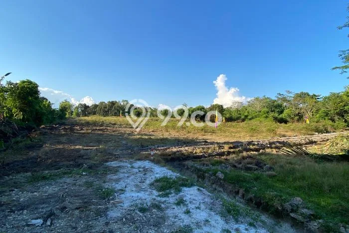 Jarang Ada! Tanah di Wotu Punya Luas 105m2 SHM Jarang Ada! Tanah di Wotu Punya Luas 105m2 SHM