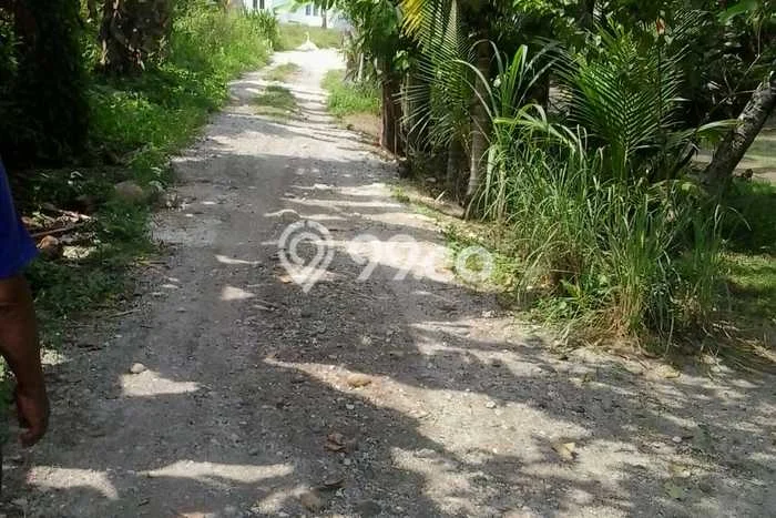AREA PROSPEKTIF! Tanah Kawasan Batang Anai, Luas 1000m2m², Dekat Fasilitas Umum, Kawasan Potensial AREA PROSPEKTIF! Tanah Kawasan Batang Anai, Luas 1000m2m², Dekat Fasilitas Umum, Kawasan Potensial