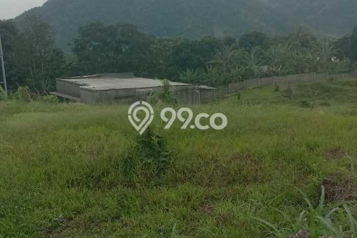 Tanah Dijual di Bogor Seluas 6000m2 Strategis Tanah Dijual di Bogor Seluas 6000m2 Strategis
