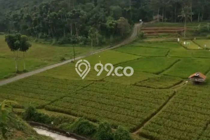 Tanah Dijual Lokasi Subang Kuningan SHM Tanah Dijual Lokasi Subang Kuningan SHM