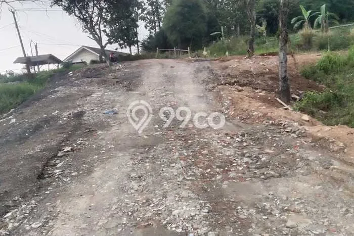 Tanah Siap Bangun Dijual di Bogor Punya Luas 3000m2 Tanah Siap Bangun Dijual di Bogor Punya Luas 3000m2