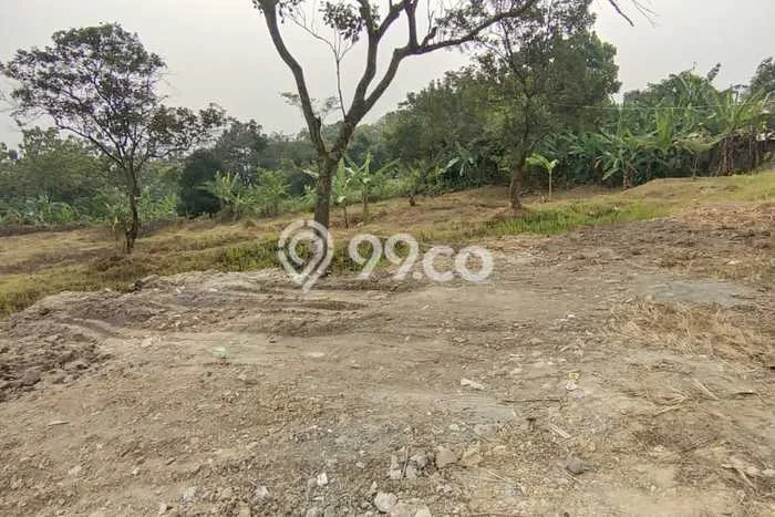 Tanah Siap Bangun Dijual di Bogor Punya Luas 3000m2 Tanah Siap Bangun Dijual di Bogor Punya Luas 3000m2