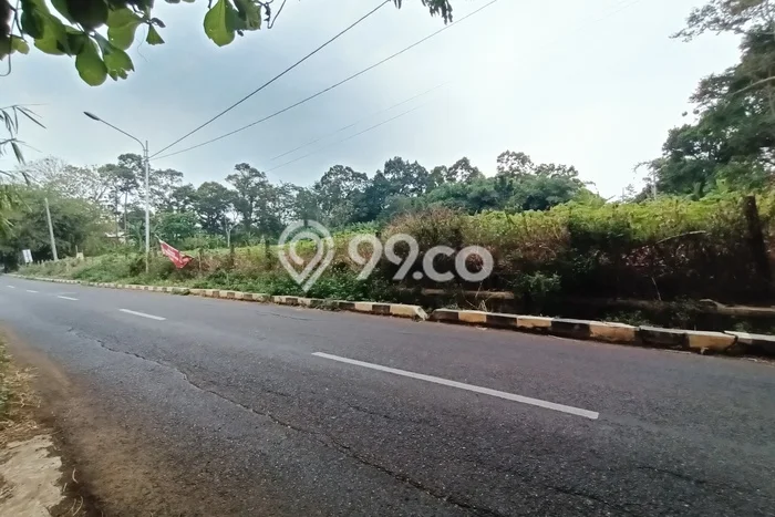 Jarang Ada! Tanah di Ngaliyan Punya Luas 5000m2 SHM Jarang Ada! Tanah di Ngaliyan Punya Luas 5000m2 SHM