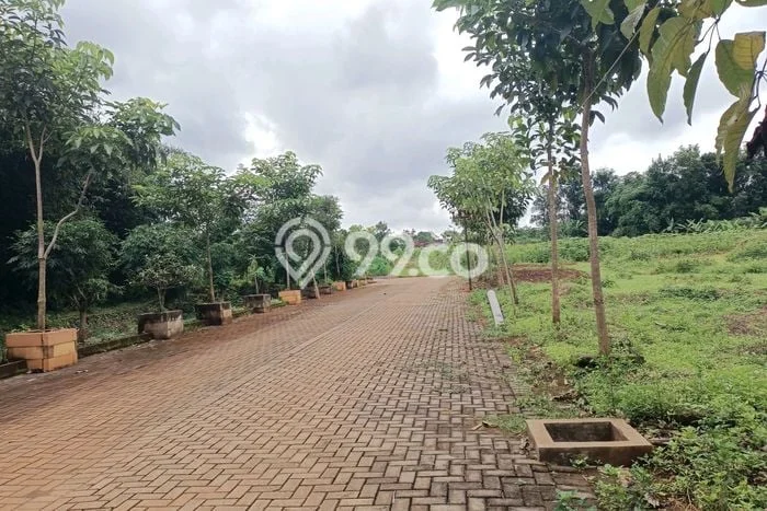 Tanah Dijual Lokasi Mijen Semarang - Tanah Dijual Lokasi Mijen Semarang -