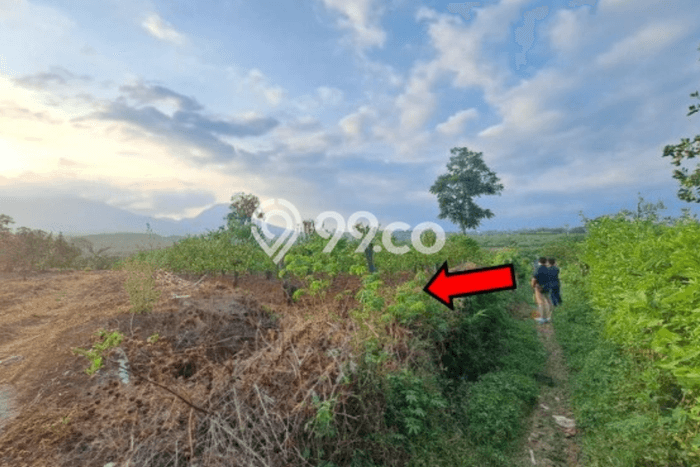 Lahan Kosong Dijual di Malang dengan Area 1308m2 Lahan Kosong Dijual di Malang dengan Area 1308m2