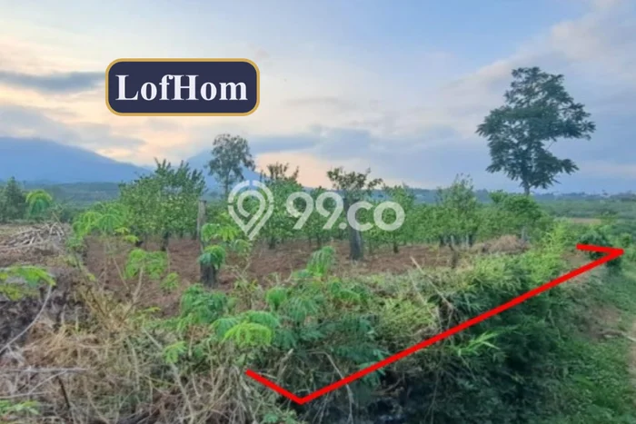 Lahan Kosong Dijual di Malang dengan Area 1308m2 Lahan Kosong Dijual di Malang dengan Area 1308m2