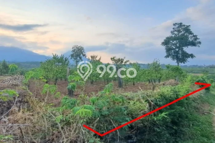 Lahan Kosong Dijual di Malang dengan Area 1308m2 Lahan Kosong Dijual di Malang dengan Area 1308m2