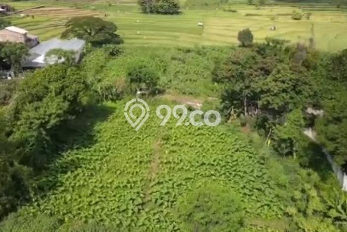 Lahan Dijual Lokasi Purwodadi, Pasuruan dengan Luas Tanah 7400m2 dan Status - Lahan Dijual Lokasi Purwodadi, Pasuruan dengan Luas Tanah 7400m2 dan Status -