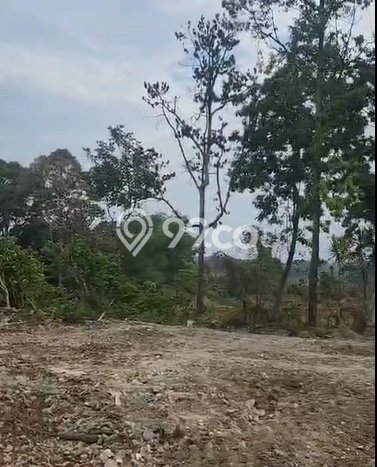 Tanah Strategis Dijual di Bogor Selatan Bogor 19023m2 Tanah Strategis Dijual di Bogor Selatan Bogor 19023m2