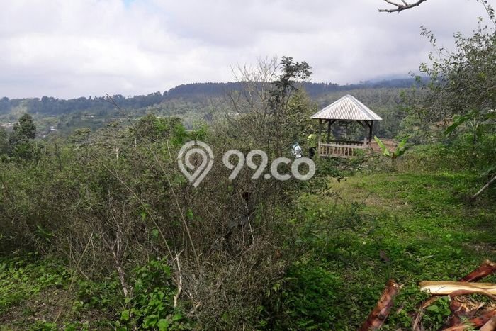 Untuk Dijual Tanah 2500m2 di Bedugul, Tabanan Untuk Dijual Tanah 2500m2 di Bedugul, Tabanan