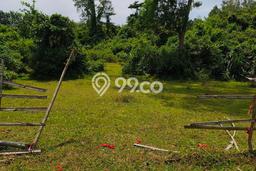 Kavling Tanah Dijual di Pamarayan, Serang, Luas 14779m2 Area Strategis Kavling Tanah Dijual di Pamarayan, Serang, Luas 14779m2 Area Strategis