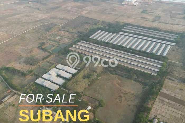 AREA PROSPEKTIF! Tanah Kawasan Pabuaran, Luas 540000m2m², Akses Fasilitas Umum AREA PROSPEKTIF! Tanah Kawasan Pabuaran, Luas 540000m2m², Akses Fasilitas Umum