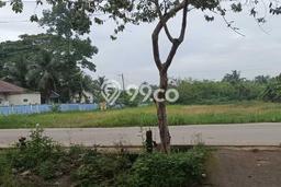 Lahan Dijual Lokasi Sukarame, Palembang dengan Luas Tanah 2783m2 dan Status SHM Lahan Dijual Lokasi Sukarame, Palembang dengan Luas Tanah 2783m2 dan Status SHM
