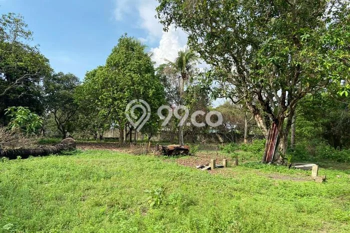 Tanah Premium Kawasan Sukarame, Luas 43925m2m², Cocok untuk Perumahan Tanah Premium Kawasan Sukarame, Luas 43925m2m², Cocok untuk Perumahan