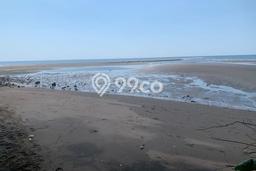 L32 Dijual Tanah SHM Tepi Pantai Dekat Lovina, Kaliasem, Buleleng L32 Dijual Tanah SHM Tepi Pantai Dekat Lovina, Kaliasem, Buleleng