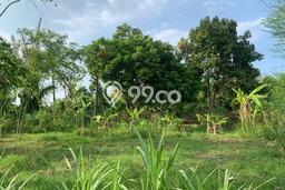 Kavling Tanah untuk Dijual di Temukus, Buleleng, Luas 400m2 Kavling Tanah untuk Dijual di Temukus, Buleleng, Luas 400m2