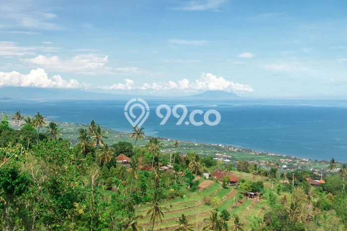 Dijual Tanah di Buleleng, Luas 4400m2 SHM Dijual Tanah di Buleleng, Luas 4400m2 SHM