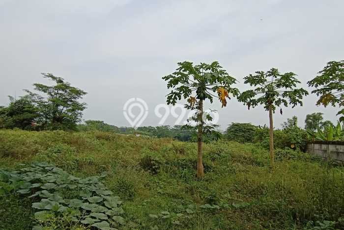 Tanah Kavling Dijual di Subang Kota, Subang dengan Luas Tanah 11350m2 Tanah Kavling Dijual di Subang Kota, Subang dengan Luas Tanah 11350m2
