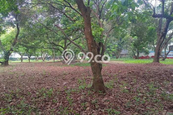 Dijual Tanah di Jakarta Timur, Luas 6600m2 SHM Dijual Tanah di Jakarta Timur, Luas 6600m2 SHM