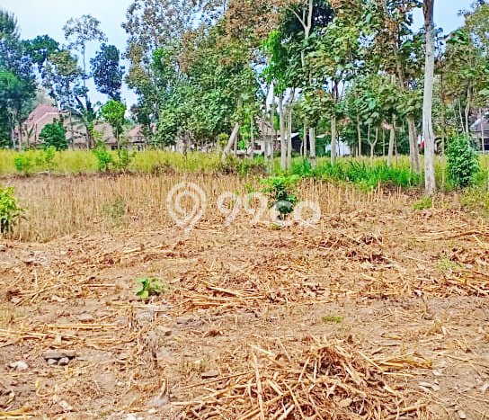 Lahan Strategis di Tajinan Dijual dengan Luas 1755m2 Lahan Strategis di Tajinan Dijual dengan Luas 1755m2