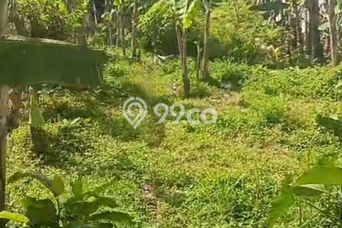 Tanah Dijual Lokasi Strategis di Malang dengan Luas 414m2 Tanah Dijual Lokasi Strategis di Malang dengan Luas 414m2