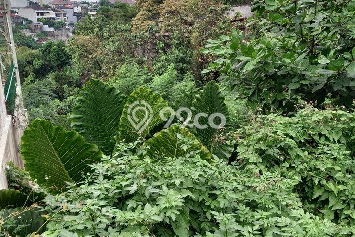 Lahan Kosong Dijual di Semarang Selatan, Semarang, Luas 718m2 Area Strategis Lahan Kosong Dijual di Semarang Selatan, Semarang, Luas 718m2 Area Strategis