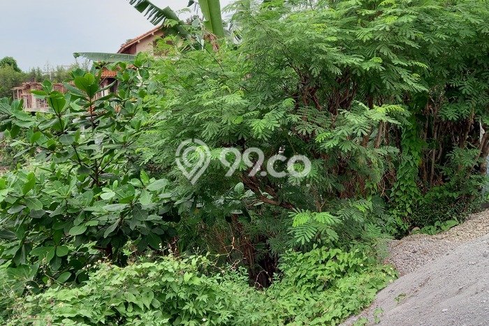 Lahan Kosong Dijual di Semarang Selatan, Semarang, Luas 718m2 Area Strategis Lahan Kosong Dijual di Semarang Selatan, Semarang, Luas 718m2 Area Strategis