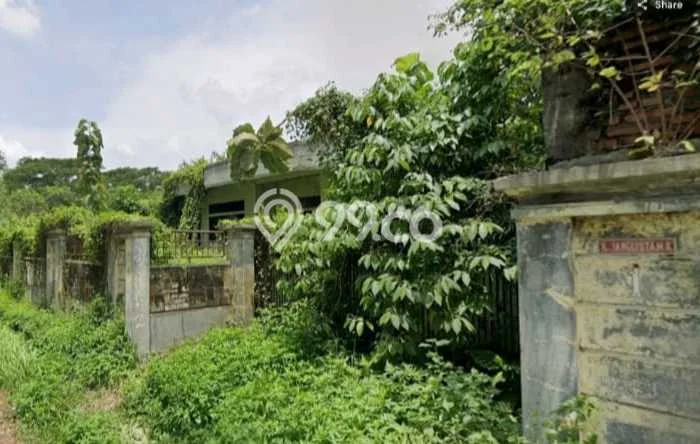 Lahan Disewakan Lokasi Jangli Semarang Luas 1350m2 Lahan Disewakan Lokasi Jangli Semarang Luas 1350m2