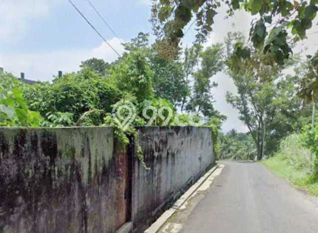 Lahan Disewakan Lokasi Jangli Semarang Luas 1350m2 Lahan Disewakan Lokasi Jangli Semarang Luas 1350m2
