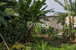 Tanah Kavling untuk Dijual di Semarang Timur Semarang 1111m2 Tanah Kavling untuk Dijual di Semarang Timur Semarang 1111m2