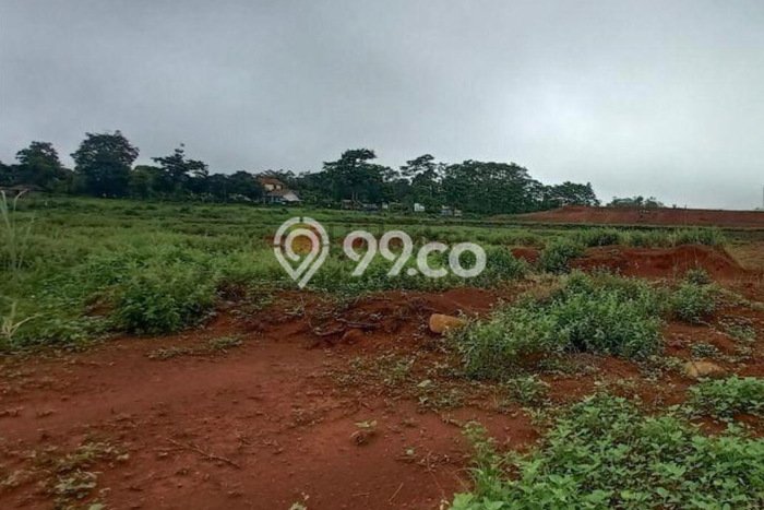 Tanah Kavling untuk Dijual di Batang Batang 14000m2 Tanah Kavling untuk Dijual di Batang Batang 14000m2