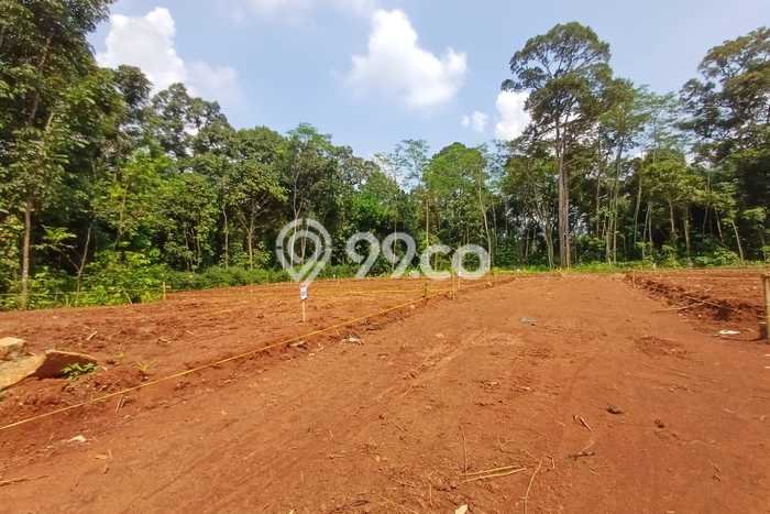 Lahan Dijual Lokasi Gunung Pati, Semarang dengan Luas Tanah 120m2 dan Status SHM Lahan Dijual Lokasi Gunung Pati, Semarang dengan Luas Tanah 120m2 dan Status SHM