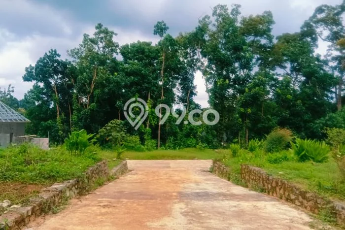 Untuk Dijual Tanah di Gunung Pati Semarang Luas 120m2 SHM Untuk Dijual Tanah di Gunung Pati Semarang Luas 120m2 SHM