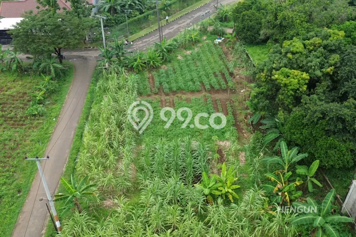 Dijual Tanah Lokasi Ciangsana, Bogor Seluas 865m2 Dijual Tanah Lokasi Ciangsana, Bogor Seluas 865m2
