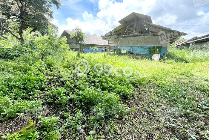 Tanah Dijual Lokasi Wajak, Malang Luas 4640m2 Legalitas Aman Tanah Dijual Lokasi Wajak, Malang Luas 4640m2 Legalitas Aman